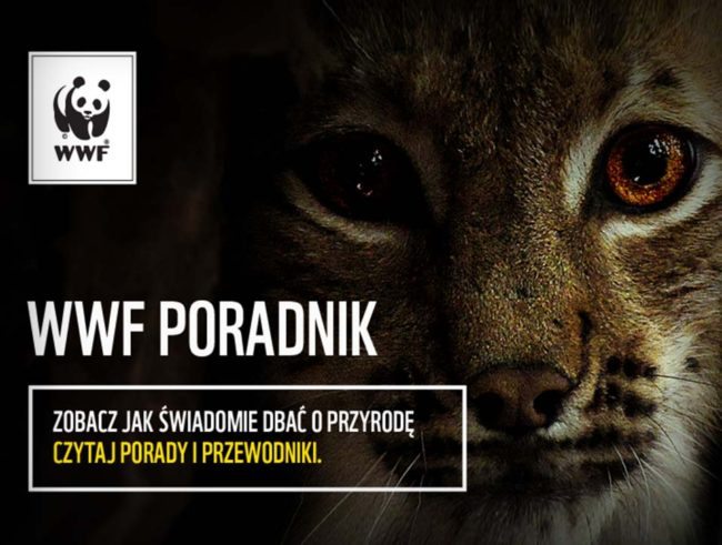Poradnik WWF