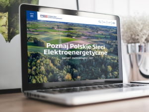 Raport zintegrowany Polskich Sieci Elektroenergetycznych
