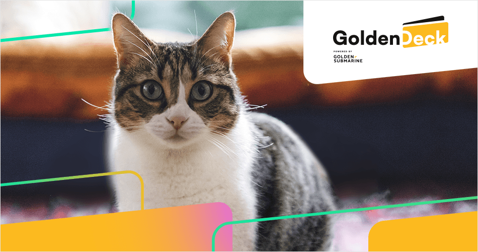 Green Petfood - od obserwacji na TikToku do strategii kampanii