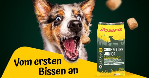 „The first right bite”, a global campaign for the Josera brand that will captivate not only dog owners 