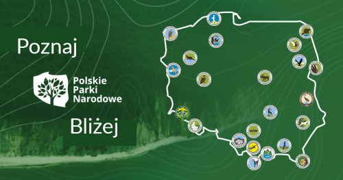 GoldenSubmarine będzie promować Polskie Parki Narodowe